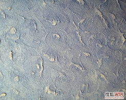 淺淺深藍(lán)的裝修日記 二十三 一波